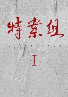 Special Case Investigation Team