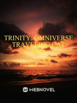 Trinity: omniverse traveling cat