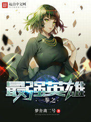 Strongest Hero in One Punch