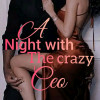 A NIGHT WITH THE CRAZY CEO