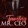 Taming Mr. CEO