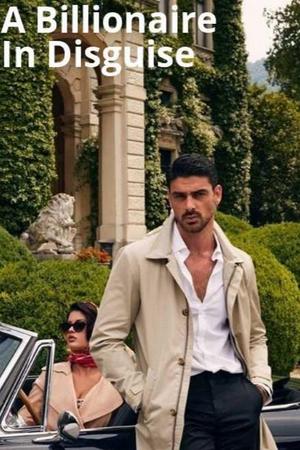 A Billionaire In Disguise